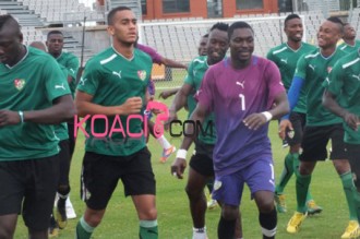 CAN 2013 : Retour à  la sérénité dans le nid des Eperviers du Togo